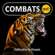 logo%20combats